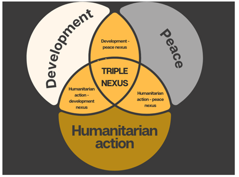 This is an infographic depicting the 'Triple Nexus' model. The model consists of three overlapping circles. The left circle is labeled "Development", the top circle is labeled "Peace", and the bottom circle is labeled "Humanitarian action". At the center, where all three circles intersect, is the term "TRIPLE NEXUS". Additionally, each intersection between two circles has a label describing the nexus between the respective areas: "Humanitarian-development nexus" between Development and Humanitarian action, "Development-peace nexus" between Development and Peace, and "Humanitarian action-peace nexus" between Humanitarian action and Peace.