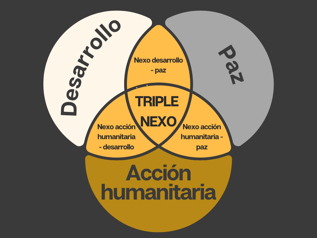 Esta infografía representa el modelo del "triple nexo". El modelo consta de tres círculos superpuestos. El de la izquierda es "Desarrollo", el de arriba "Paz" y el de abajo "Acción humanitaria". En el centro, donde se cruzan los tres círculos, aparece el término "TRIPLE NEXUS". Además, cada intersección entre dos círculos tiene una etiqueta que describe el nexo entre las respectivas áreas: "Nexo humanitario-desarrollo" entre el desarrollo y la acción humanitaria, "Nexo desarrollo-paz" entre el desarrollo y la paz, y "Nexo acción humanitaria-paz" entre la acción humanitaria y la paz.