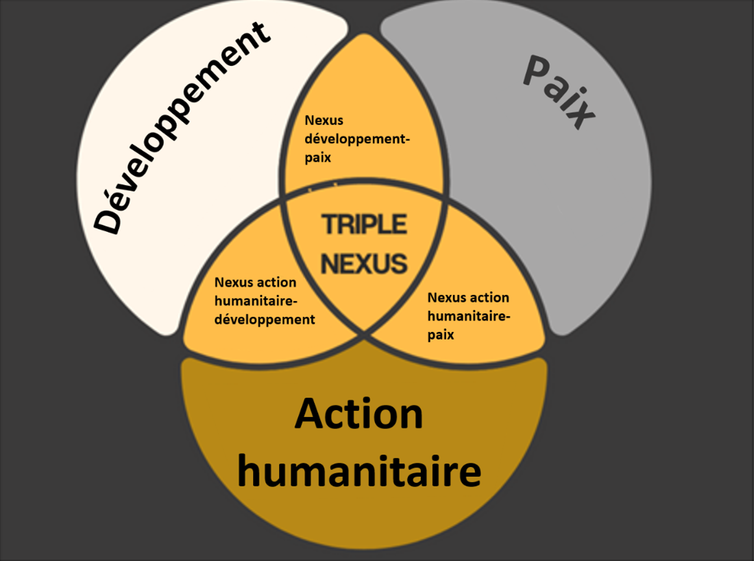Il s'agit d'une infographie décrivant le modèle "Triple Nexus". Le modèle se compose de trois cercles qui se chevauchent. Le cercle de gauche est intitulé "Développement", celui du haut "Paix" et celui du bas "Action humanitaire". Au centre, à l'intersection des trois cercles, figure le terme "TRIPLE NEXUS". En outre, chaque intersection entre deux cercles est accompagnée d'une étiquette décrivant le lien entre les domaines respectifs : Le "lien humanitaire - développement" entre le développement et l'action humanitaire, le "lien développement-paix" entre le développement et la paix, et le "lien action humanitaire-paix" entre l'action humanitaire et la paix.